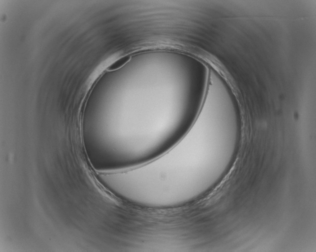 X0000064741242200602100925
