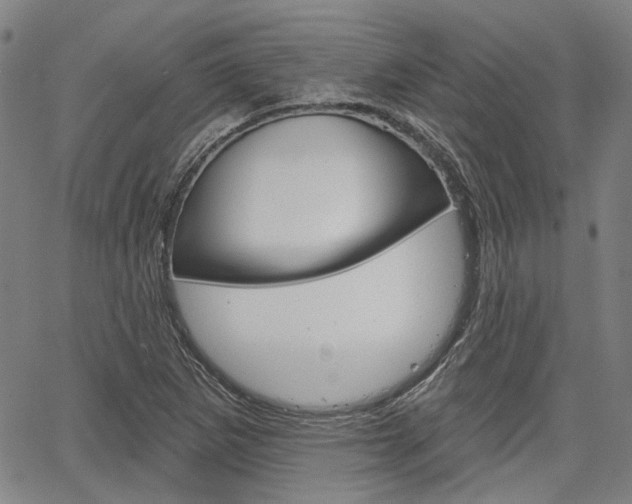 X0000064741265200602100924
