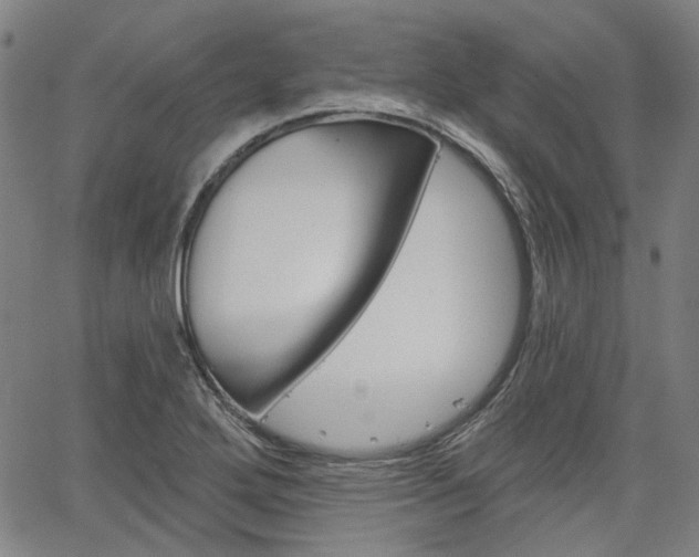X0000064741272200602100924