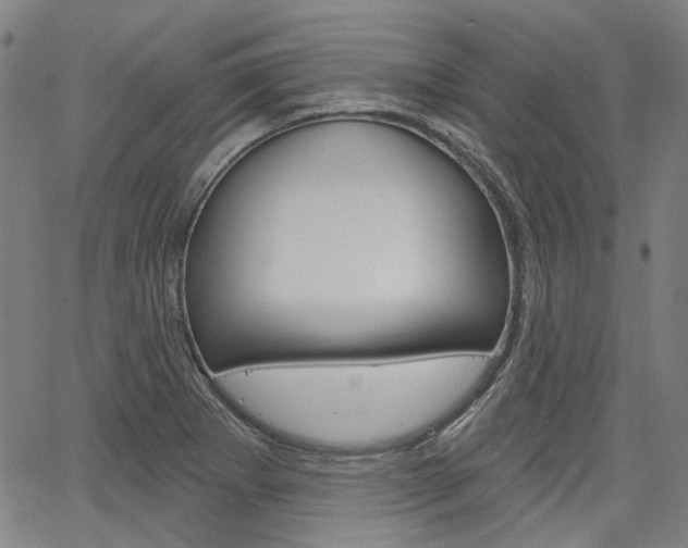 X0000064741273200602100924