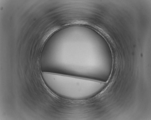 X0000064741281200602100924