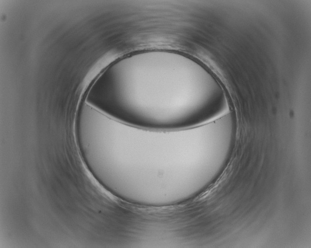 X0000064741293200602100924