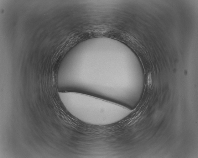 X0000064741299200602100923