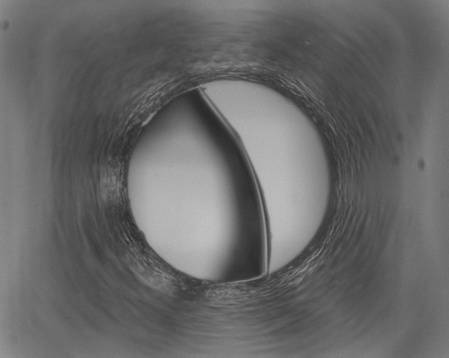 X0000064741300200602100923