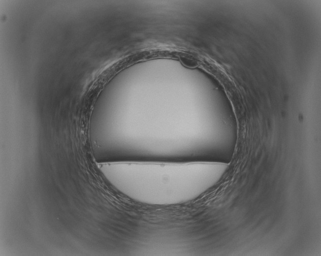X0000064741303200602100923