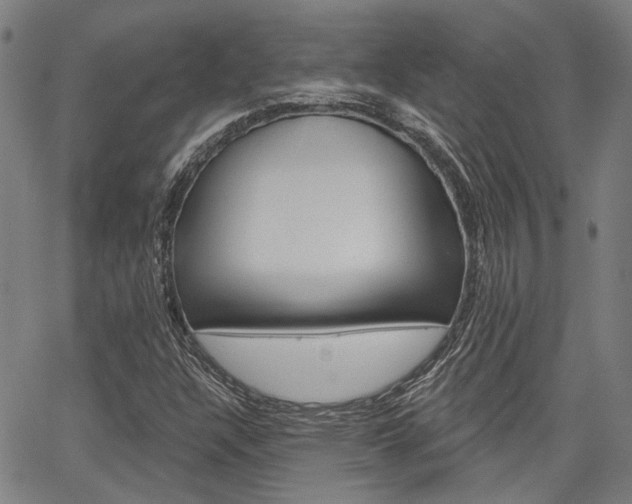 X0000064741304200602100923