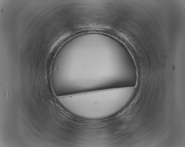X0000064741307200602100923