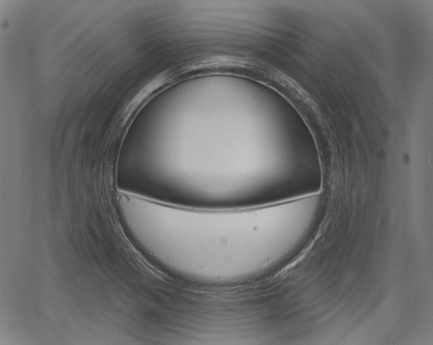 X0000064741321200602100923