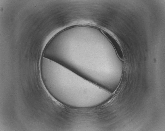 X0000064741343200602100924