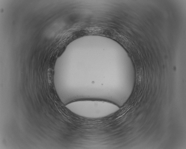 X0000064741346200602100923