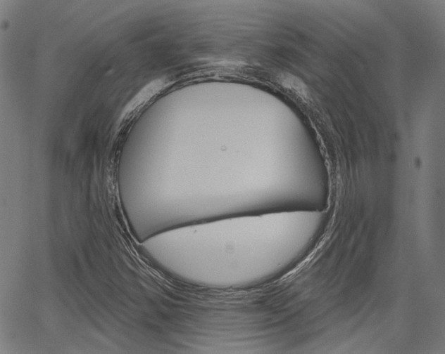 X0000064741354200602100923
