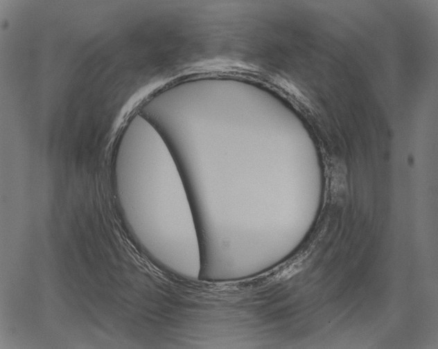 X0000064741358200602100923