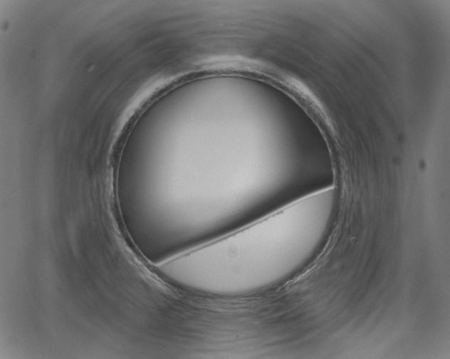 X0000064741376200602100923
