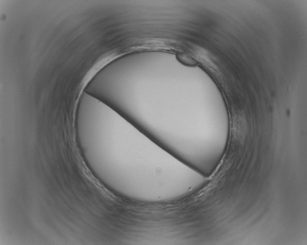 X0000064741378200602100922