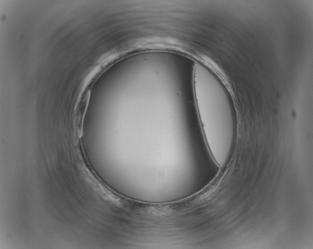 X0000064741384200602100922