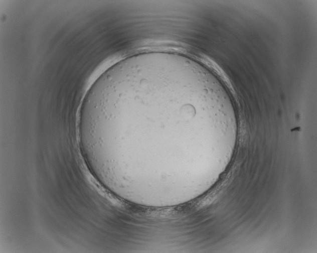 X0000064741386200602100922