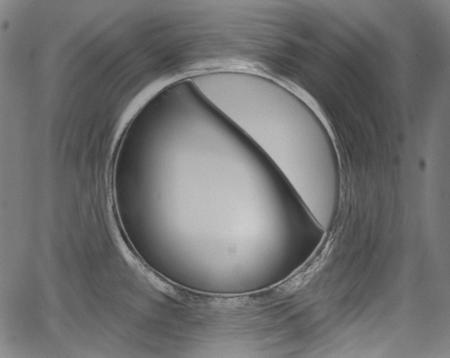 X0000064741389200602100922