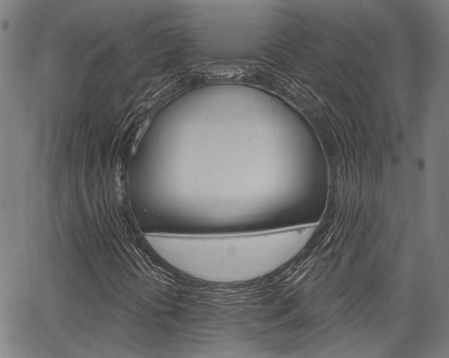 X0000064741394200602100922