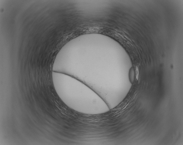 X0000064741395200602100922