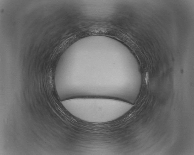X0000064741396200602100922