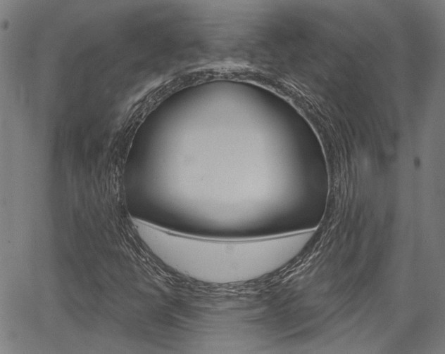 X0000064741398200602100922