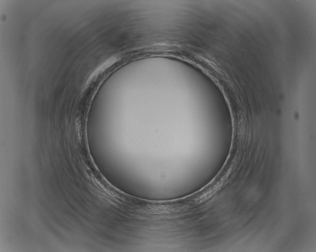 X0000064741402200602100922
