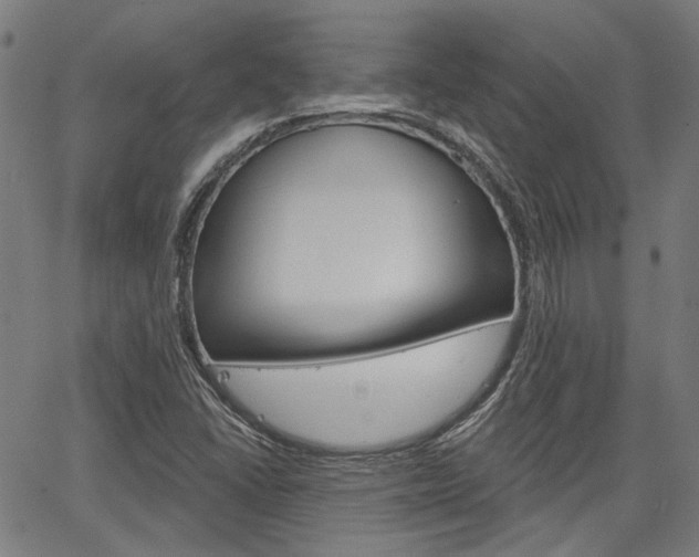 X0000064741406200602100922