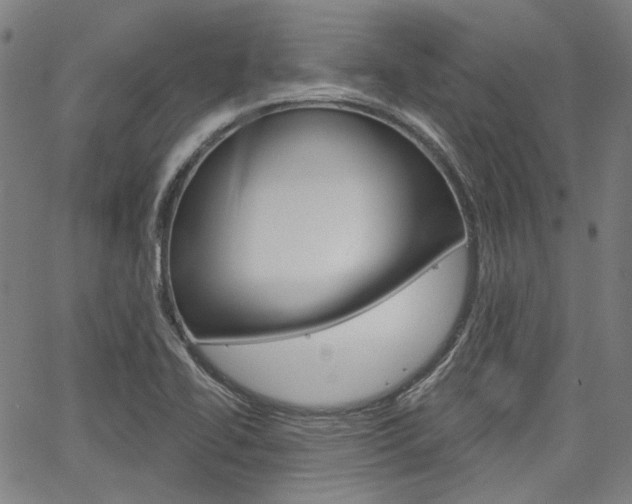 X0000064741414200602100922