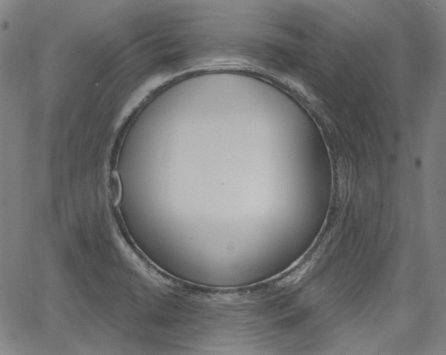 X0000064741422200602100922