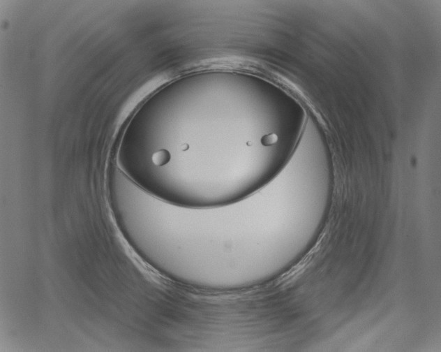 X0000064741426200602100922