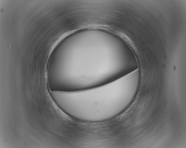 X0000064741428200602100922