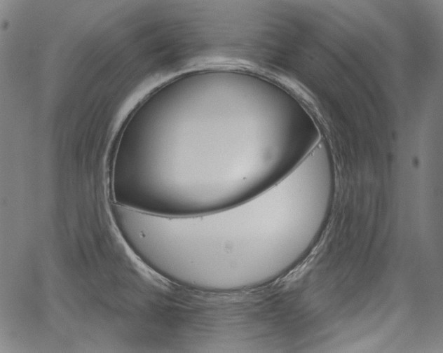 X0000064741430200602100922