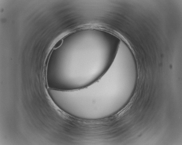 X0000064741434200602100922