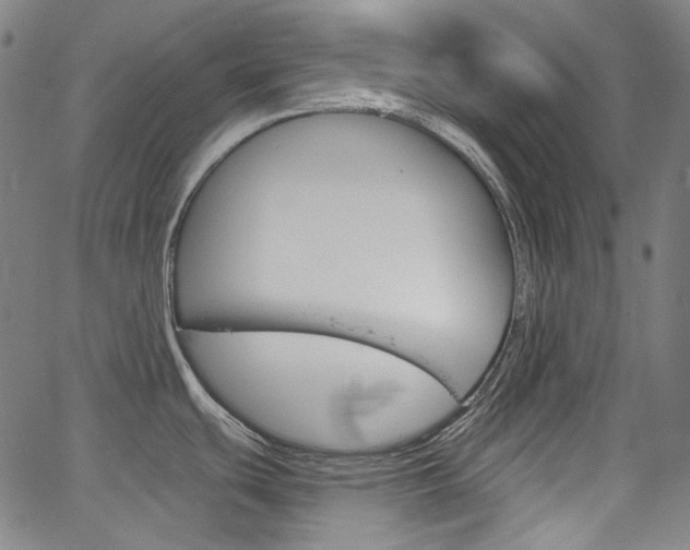 X0000064741439200602100922