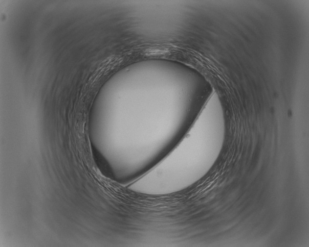 X0000064741441200602100921