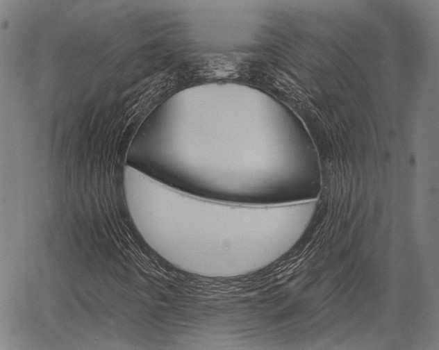 X0000064741442200602100921