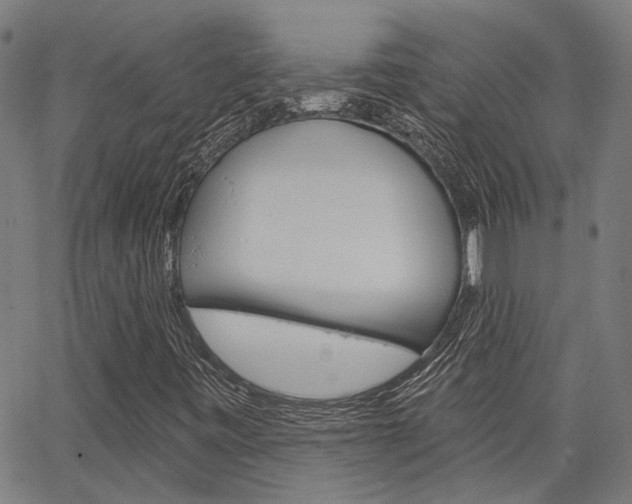 X0000064741443200602100921