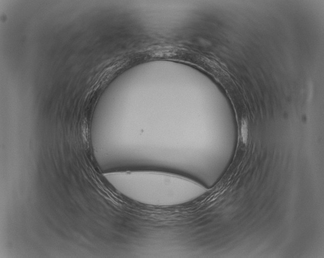 X0000064741444200602100921