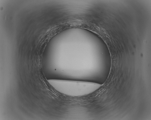 X0000064741445200602100921
