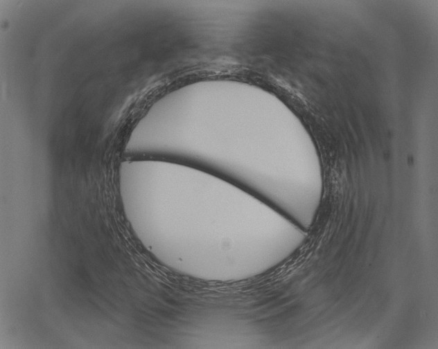 X0000064741447200602100921