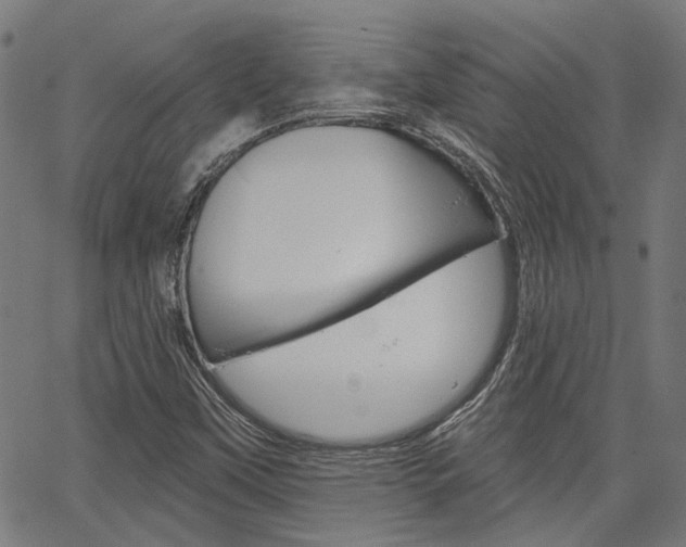 X0000064741451200602100921