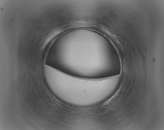 X0000064741453200602100921