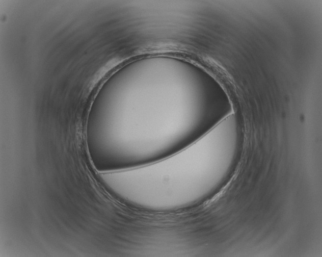 X0000064741457200602100921