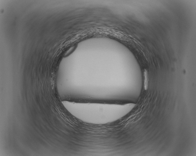 X0000064741491200602100920