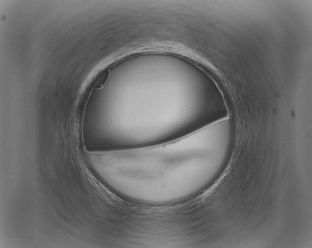 X0000064741506200602100920
