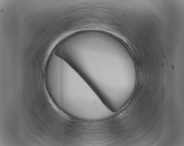 X0000064741515200602100920