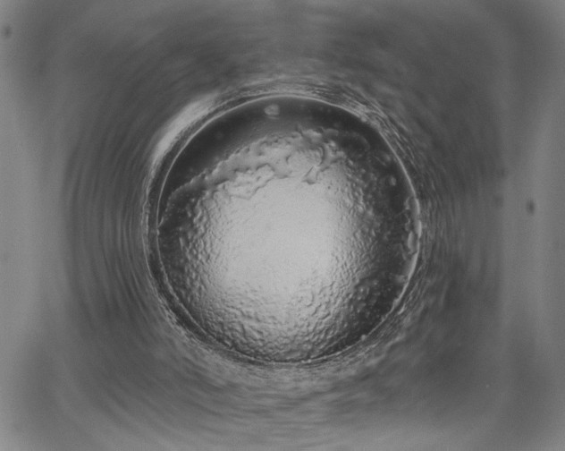 X0000064740006200602101159