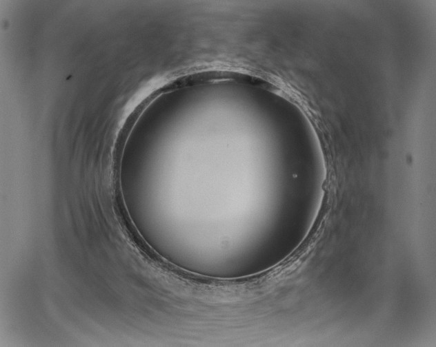 X0000064740008200602101159