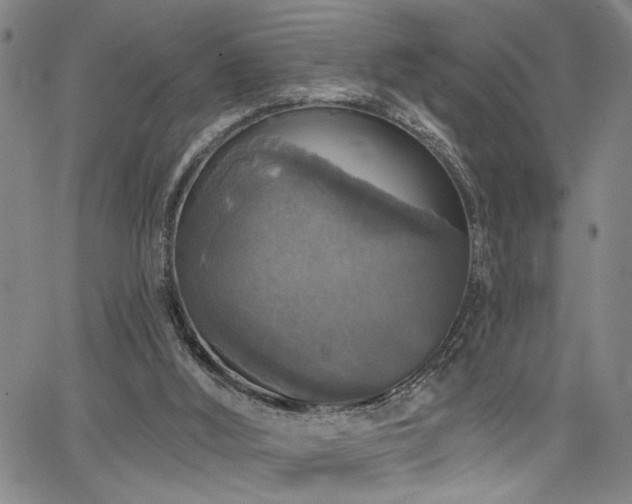 X0000064740012200602101159
