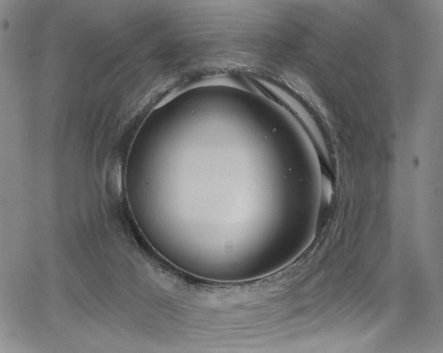 X0000064740021200602101159